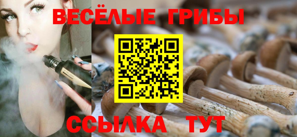 Псилоцибиновые грибы мухоморы Городец